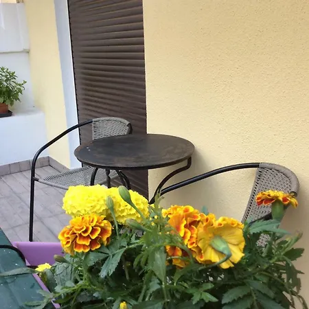 Apartment Renovated Athens